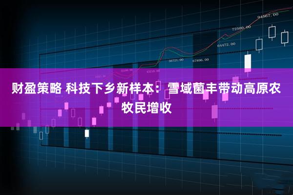 财盈策略 科技下乡新样本：雪域菌丰带动高原农牧民增收
