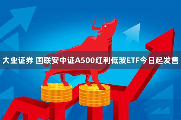 大业证券 国联安中证A500红利低波ETF今日起发售