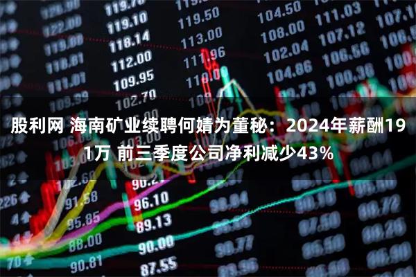 股利网 海南矿业续聘何婧为董秘：2024年薪酬191万 前三季度公司净利减少43%