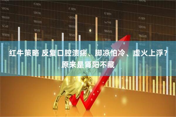 红牛策略 反复口腔溃疡、脚凉怕冷、虚火上浮？原来是肾阳不藏