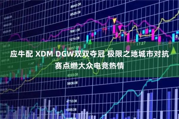 应牛配 XDM DGW双双夺冠 极限之地城市对抗赛点燃大众电竞热情